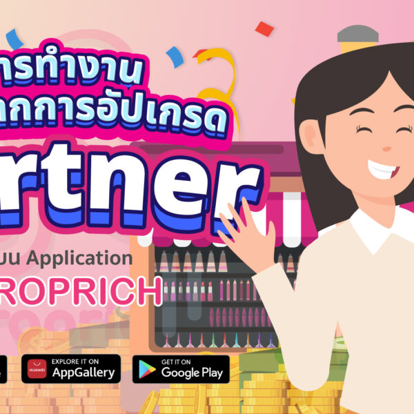การทำงานหลังจากการอัปเกรด Partner