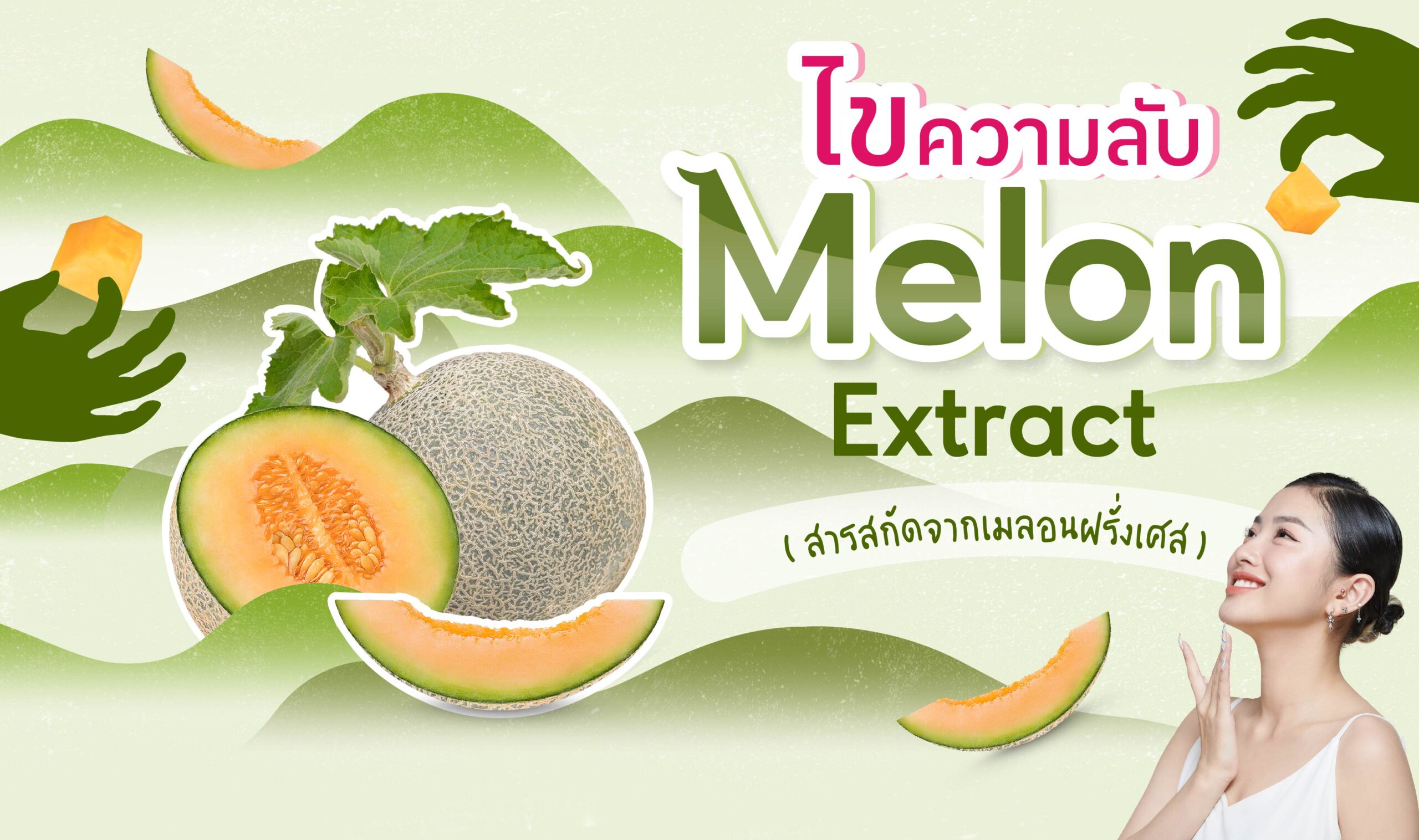 ไขความลับ Melon Extract (สารสกัดจากเมลอนฝรั่งเศส)
