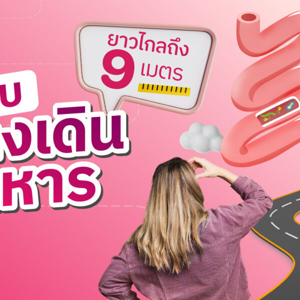 ระบบทางเดินอาหาร ยาวไกลถึง 9 เมตร