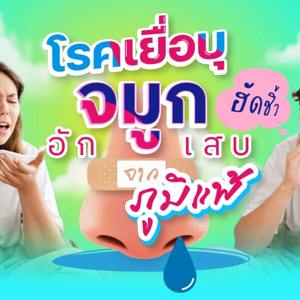 โรคเยื่อบุจมูกอักเสบจากภูมิแพ้ (Allergic Rhinitis)