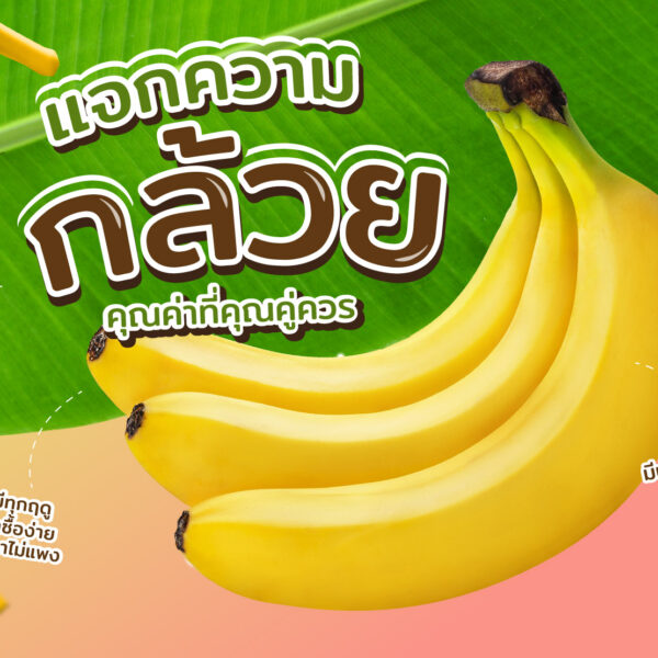 แจกความกล้วย คุณค่าที่คุณคู่ควร