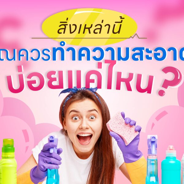 สิ่งเหล่านี้ คุณควรทำความสะอาดบ่อยแค่ไหน