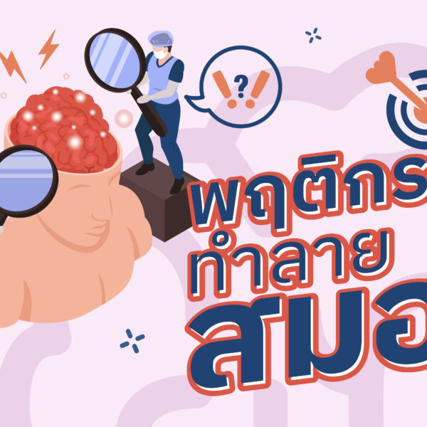 พฤติกรรมทำลายสมอง